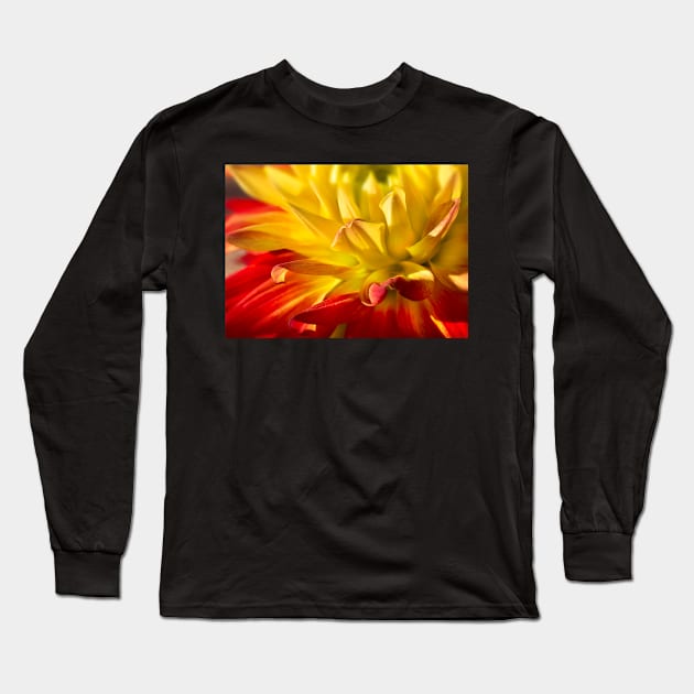 Dahlia Long Sleeve T-Shirt by mariola5